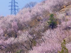 -白水寺森林公园
