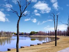-宁波杭州湾国家湿地公园