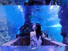 -西安曲江海洋极地公园