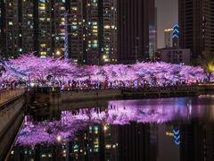 -西北湖绿化广场