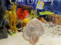 -上海海洋水族馆