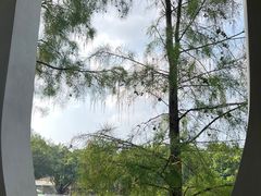 -人民公园(罗湖区)