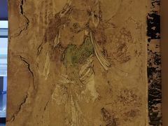 -敦煌石窟文物保护研究陈列中心