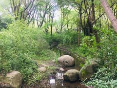 -新江湾城公园