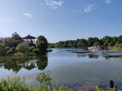 -宜兴龙背山森林公园