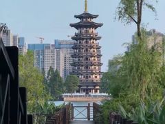 -洋湖国家湿地公园
