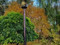 -西宁市人民公园(城西区)