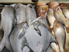 -乐在集市海鲜大排档(平潭店)