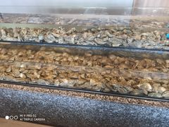 -Isla Sugbu Seafood City