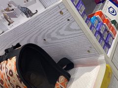 -纳吉亚猫专科动物医院·北北分院