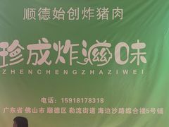 -珍成炸滋味