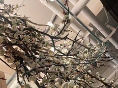 -梅花境(万科店)