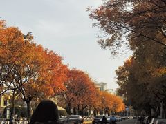 -仲盛世界商城