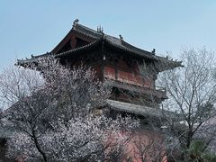-善化寺
