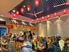大堂-爆炸头阿姨小四川正宗川味小吃(无任何分店)