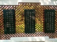 -晓港公园
