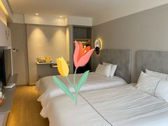 -白玉兰苏州观前街平江路酒店