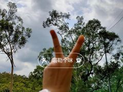 -广州市白云山风景名胜区