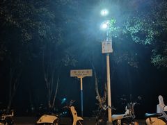 -武汉大学-樱园