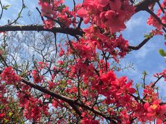 -成都市活水公园