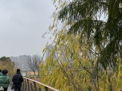 -江滩湿地公园