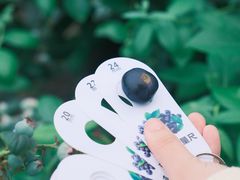 -菲尔雪CAKE(九方店)