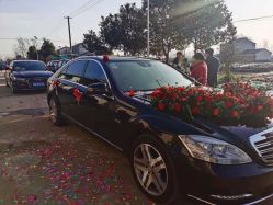 -蚂蚁婚车