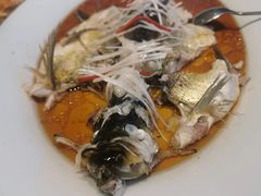 -丹江渔村(望京店)