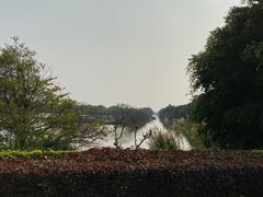-大湾区中央湿地公园