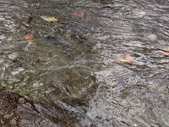 -水磨沟公园