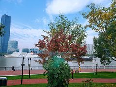 -浦江二号·独栋江景餐厅(滨江大道店)