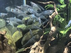 -太平洋海底世界