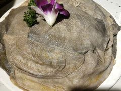 鲜毛肚-钢管厂五区小郡肝火锅串串香(总店)