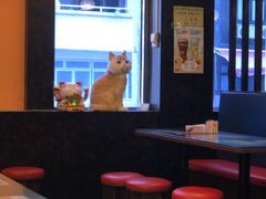 -星林居酸辣米线餐厅