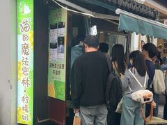 -猫的魔法密林(衣裳街店)