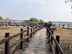 -西青郊野公园