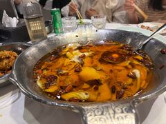 -沸腾鱼乡(知春路分店)