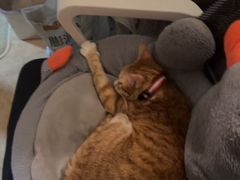 -逃脱反斗城沉浸剧情密室(北京路店)