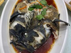 清蒸青斑鱼-双井轩(双井店)