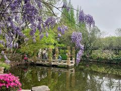 -上海醉白池公园