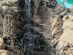-栾川竹海野生动物园