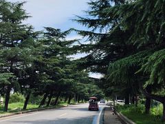 -花园口旅游区