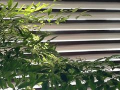 -Love Story爱情故事·养生SPA会所(新侨店)