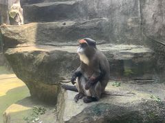 -南昌动物园