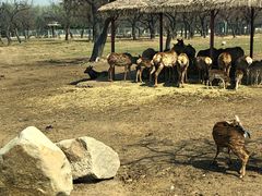 -西安秦岭野生动物园