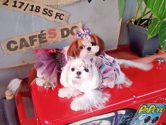 -nodcafe(M50创意园店)