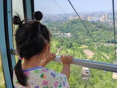 -铁山坪森林公园