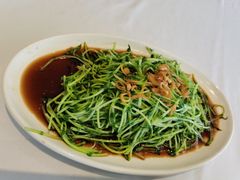 白灼豆苗-南海渔村(火炬园店)