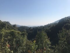 -世间香境·七溪地