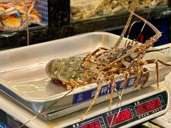 -东海怡品海鲜豆捞(舟宿夜江店)